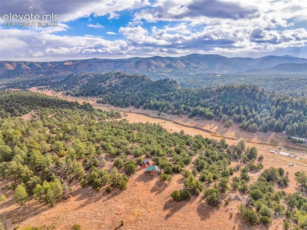 599 Ferris Drive Westcliffe CO 81252