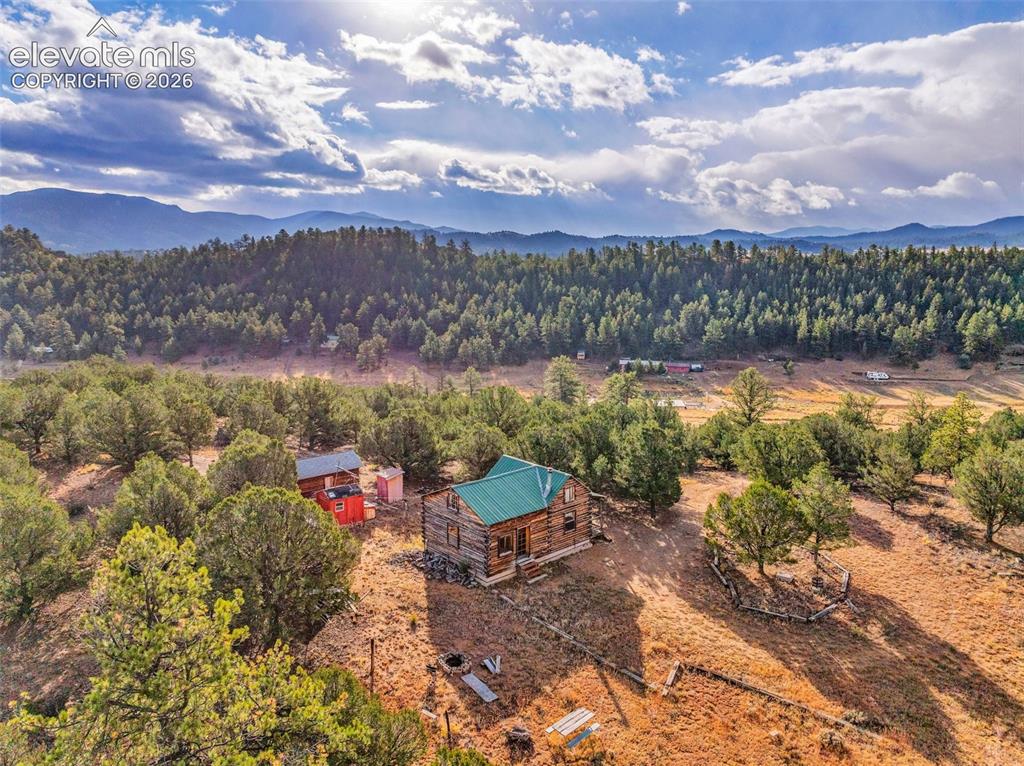 523-599 Ferris Drive Westcliffe CO 81252