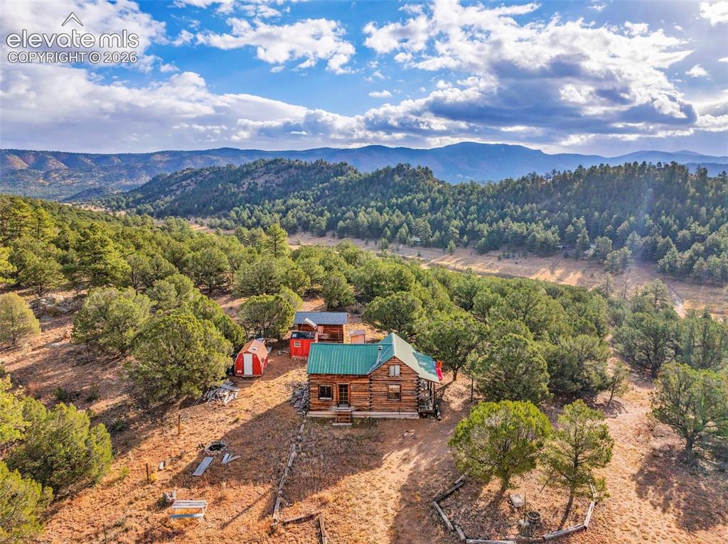523-599 Ferris Drive Westcliffe CO 81252