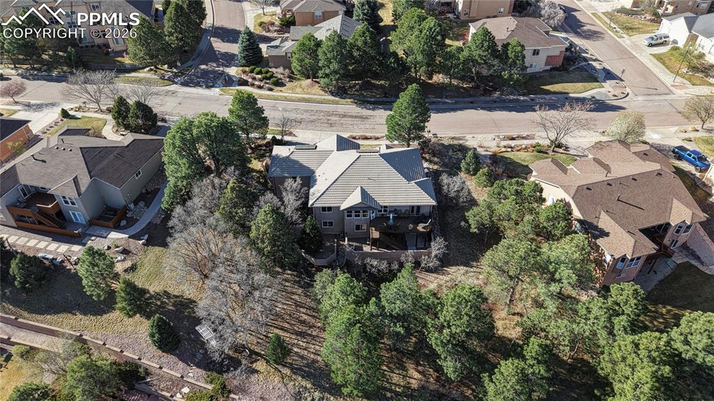 5532 Saxon Lane Colorado Springs CO 80918
