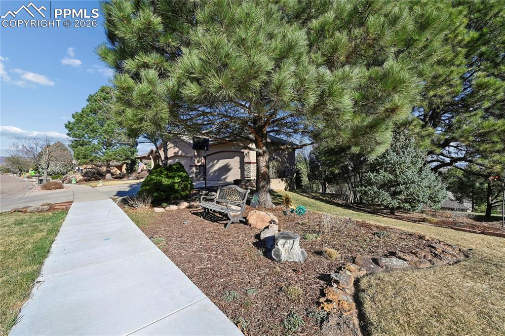 5532 Saxon Lane Colorado Springs CO 80918
