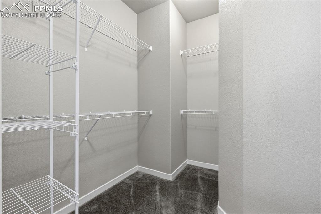 2050 Volterra Way Colorado Springs CO 80921