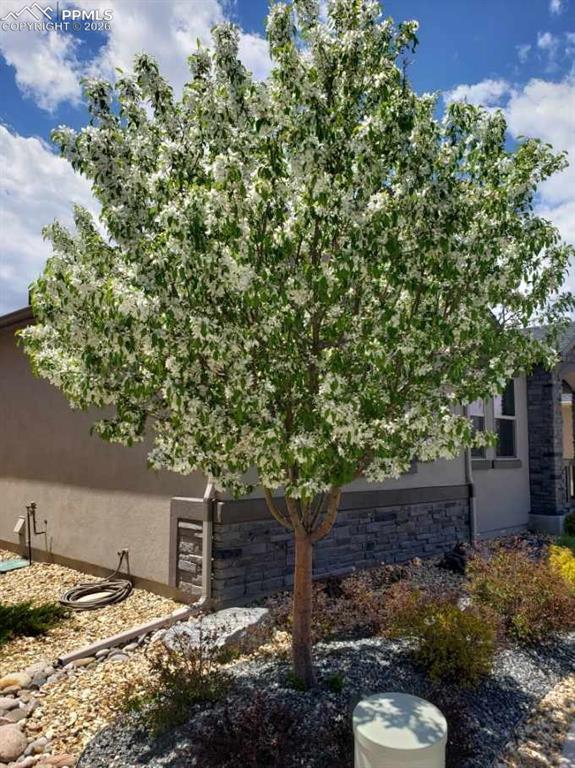 2050 Volterra Way Colorado Springs CO 80921