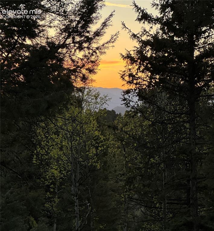 45 La Abu Trail Florissant CO 80816