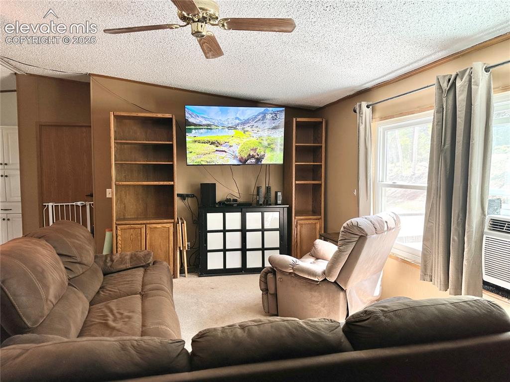 45 La Abu Trail Florissant CO 80816
