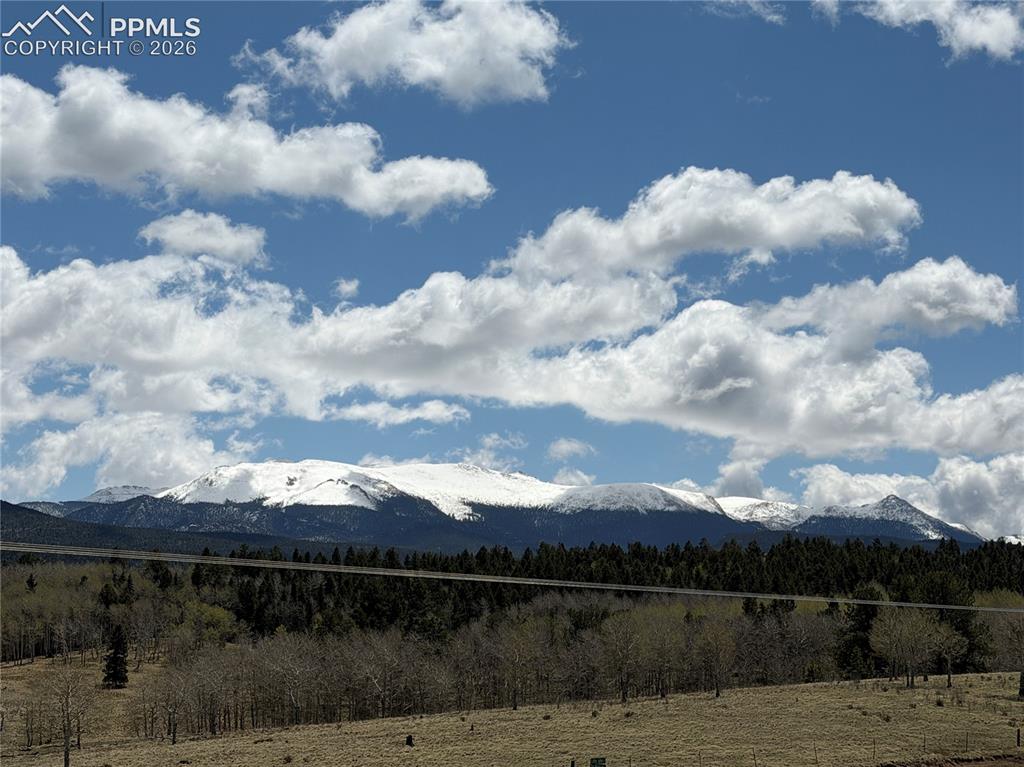 538 Friar Tuck Drive Divide CO 80814