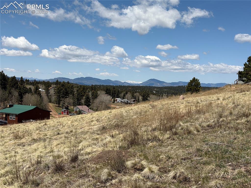 538 Friar Tuck Drive Divide CO 80814