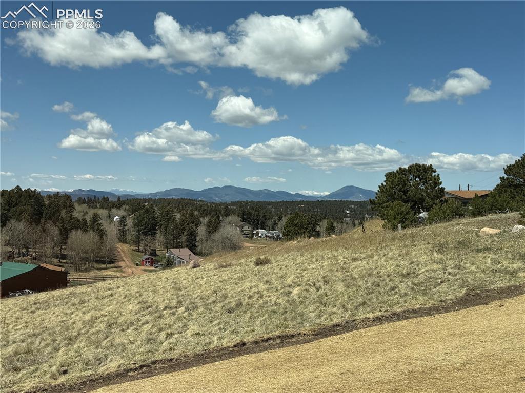 538 Friar Tuck Drive Divide CO 80814