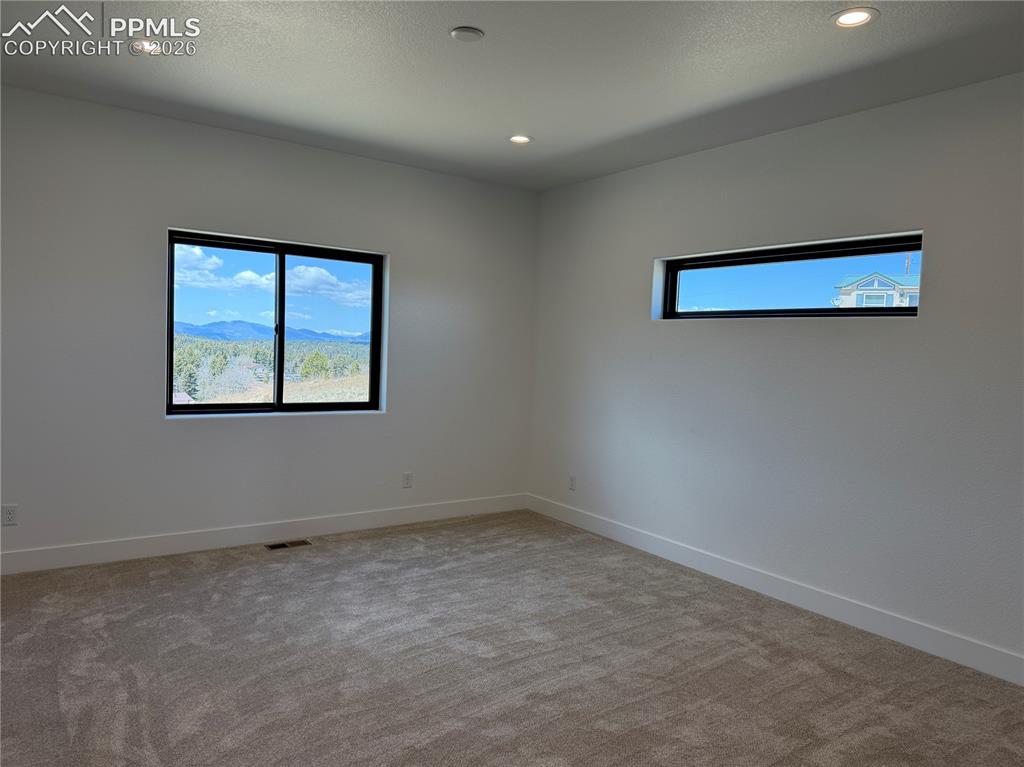 538 Friar Tuck Drive Divide CO 80814