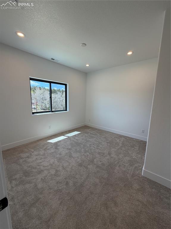 538 Friar Tuck Drive Divide CO 80814