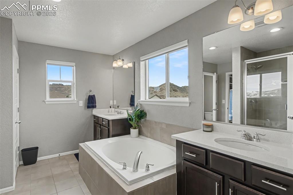 472 Sage Grouse Circle Castle Rock CO 80109