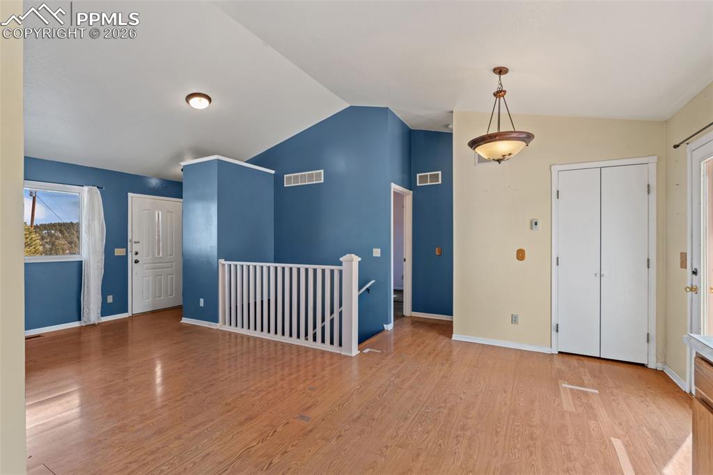 487 Maroon Lake Circle Divide CO 80814