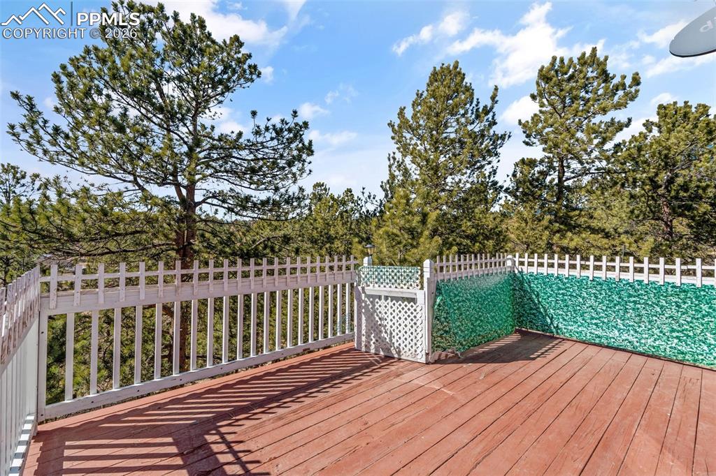 487 Maroon Lake Circle Divide CO 80814