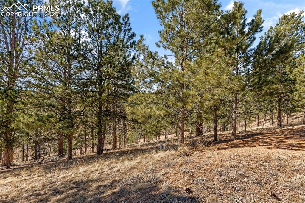 487 Maroon Lake Circle Divide CO 80814