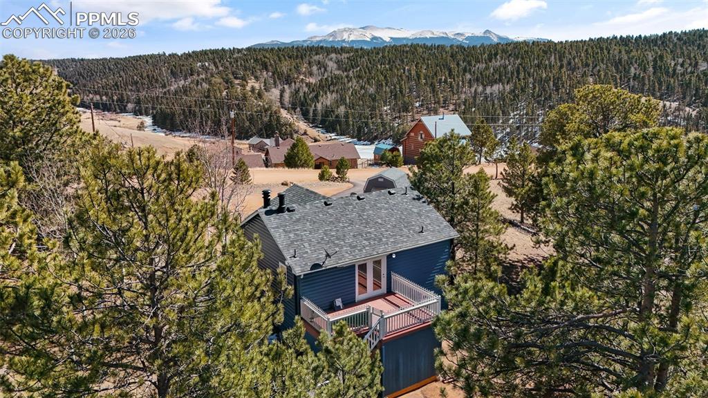 487 Maroon Lake Circle Divide CO 80814