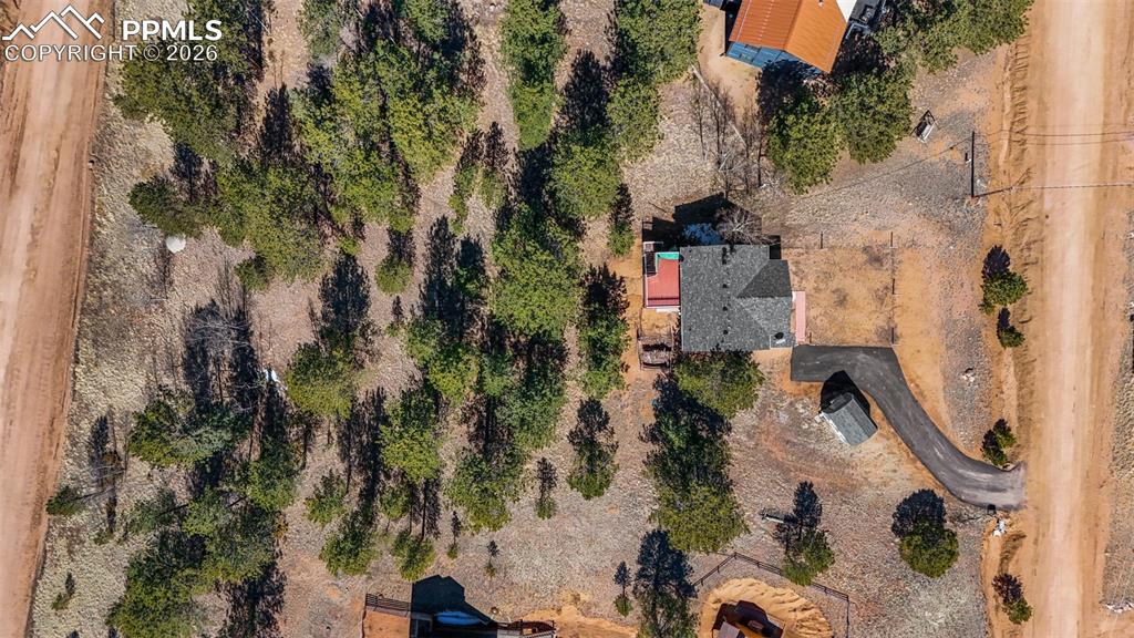 487 Maroon Lake Circle Divide CO 80814