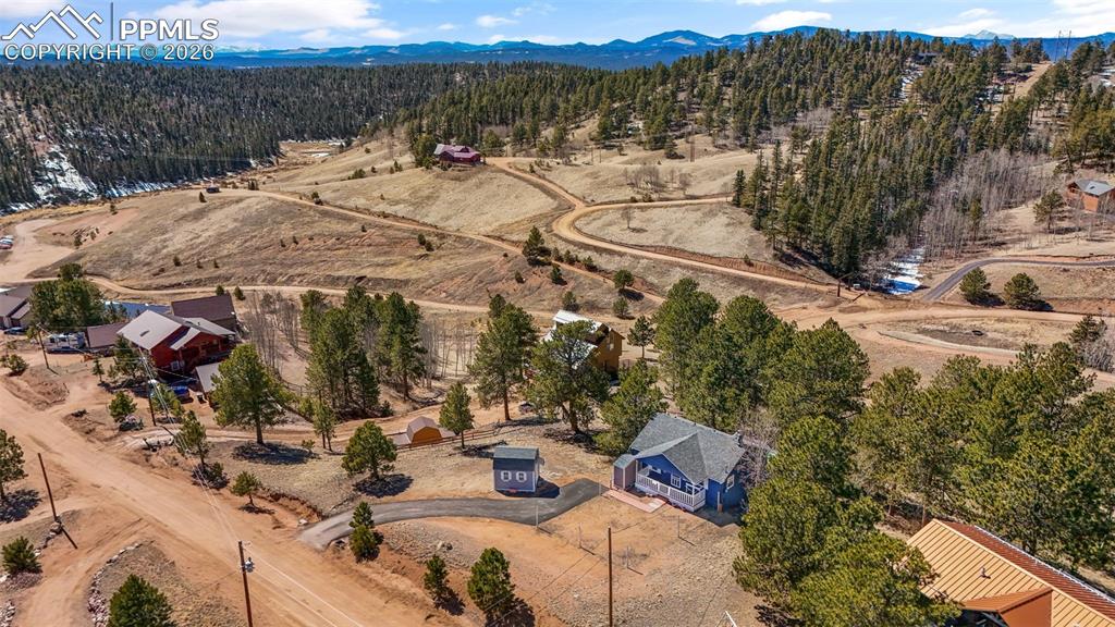 487 Maroon Lake Circle Divide CO 80814