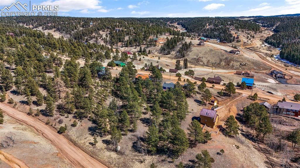 487 Maroon Lake Circle Divide CO 80814