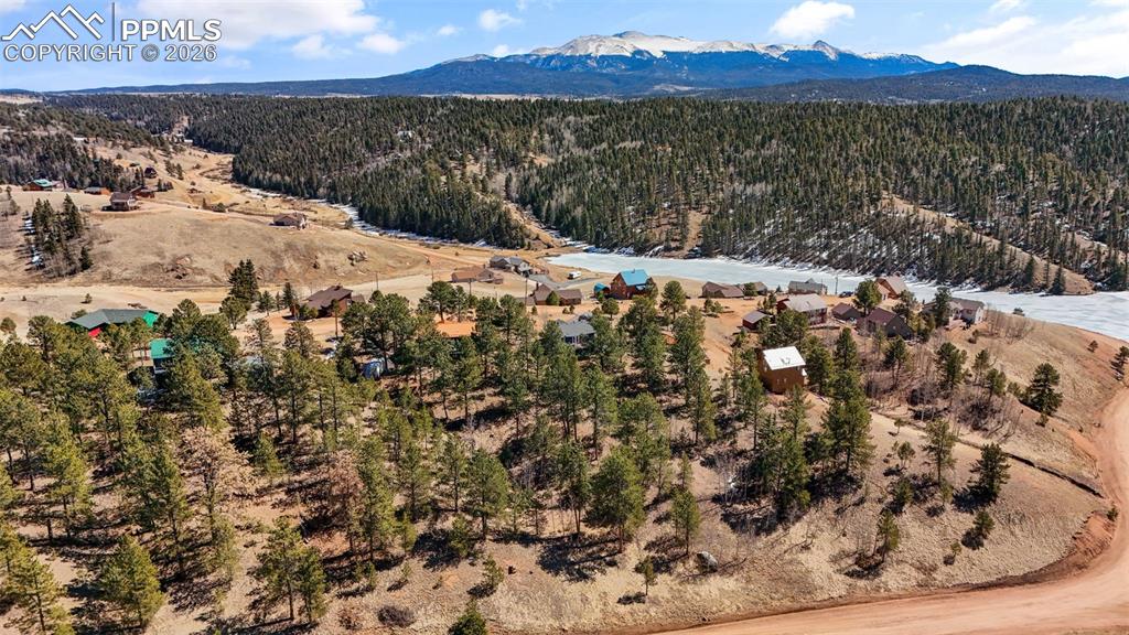 487 Maroon Lake Circle Divide CO 80814