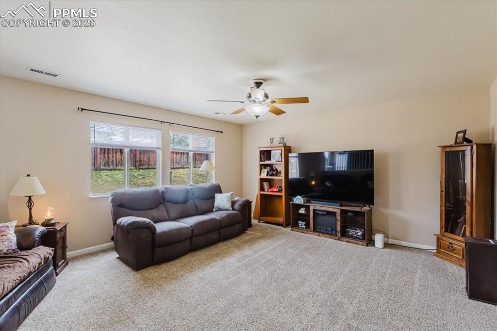 1249 Marsh Hawk Drive Colorado Springs CO 80911