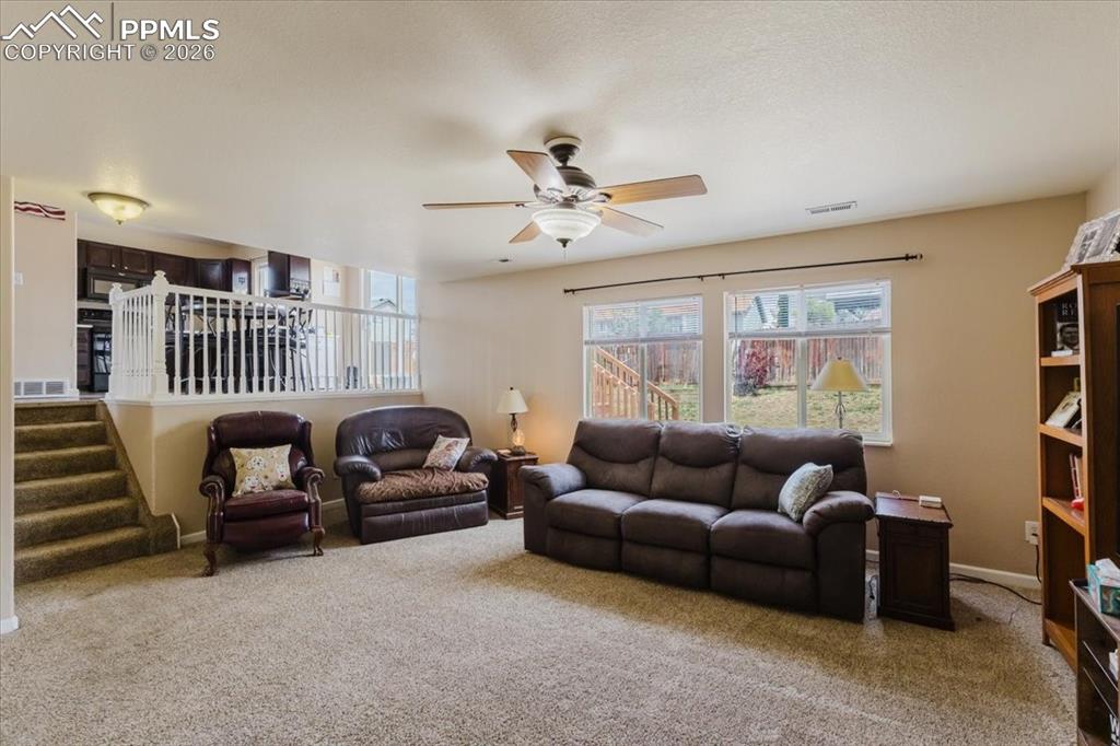 1249 Marsh Hawk Drive Colorado Springs CO 80911