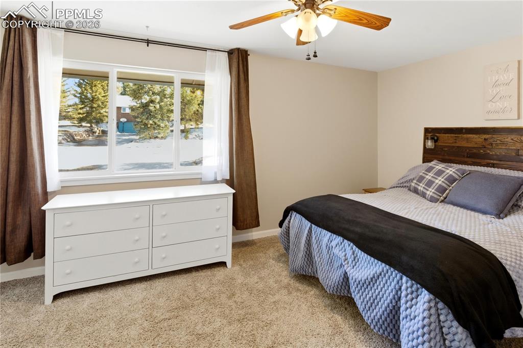 175 Piney Point Lane Woodland Park CO 80863