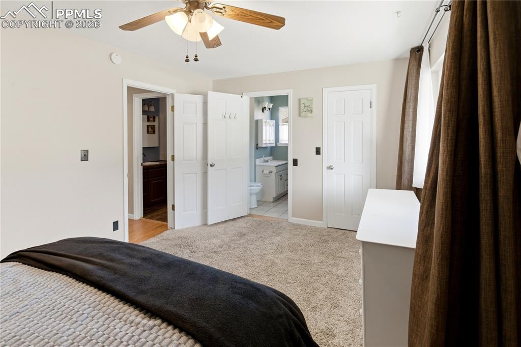 175 Piney Point Lane Woodland Park CO 80863