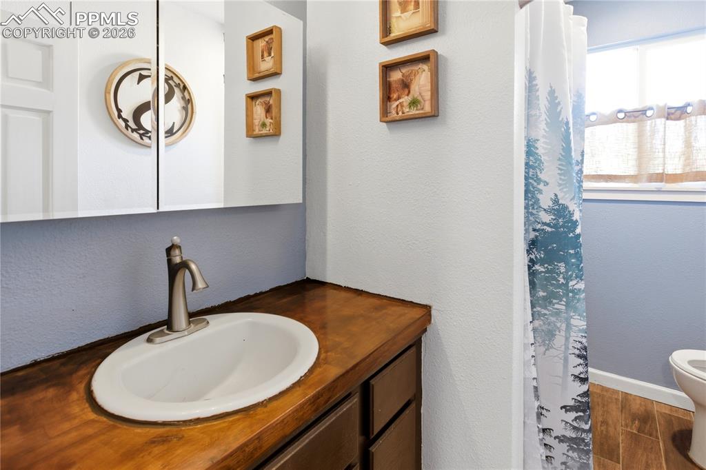 175 Piney Point Lane Woodland Park CO 80863