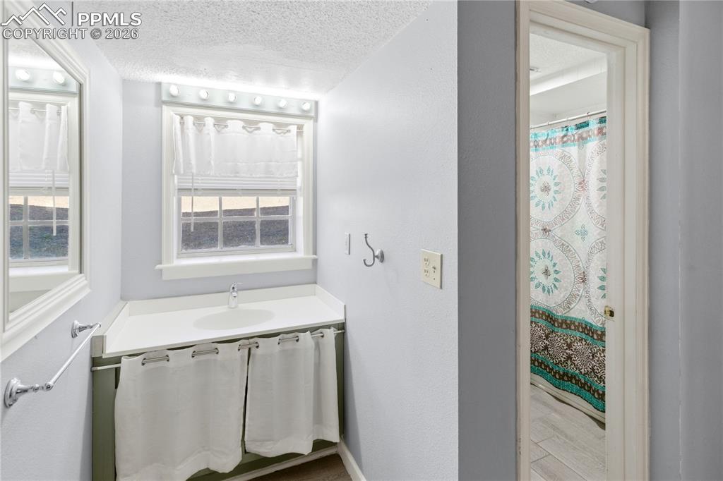 175 Piney Point Lane Woodland Park CO 80863
