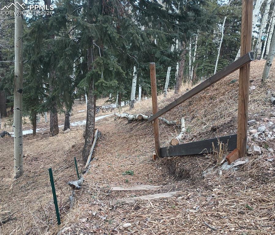 175 Piney Point Lane Woodland Park CO 80863