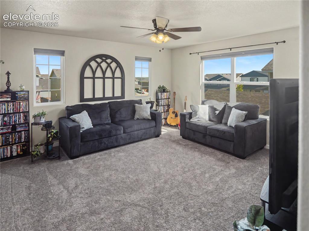 9434 Torecco Court Fountain CO 80817