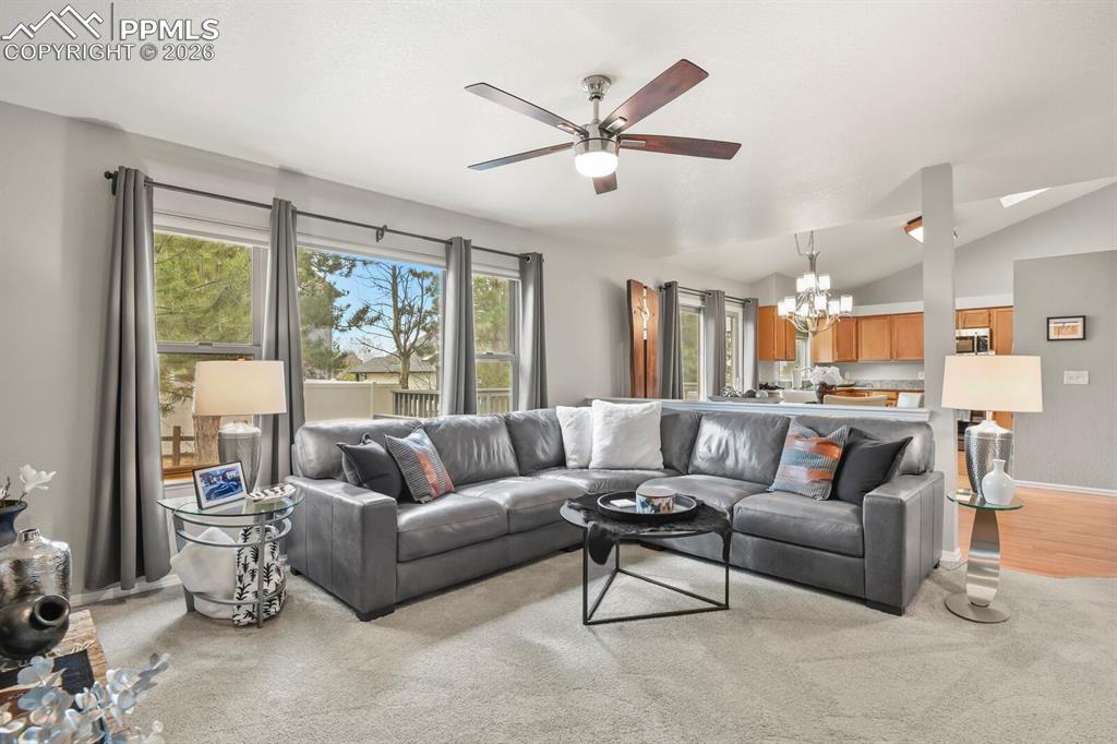 15385 Paddington Circle Colorado Springs CO 80921