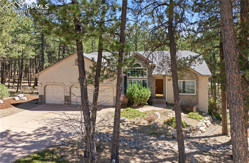 16206 Red Fox Lane Colorado Springs CO 80921