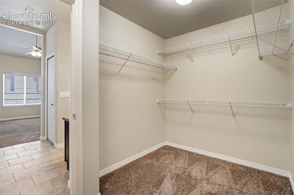 6581 Alliance Loop Colorado Springs CO 80925