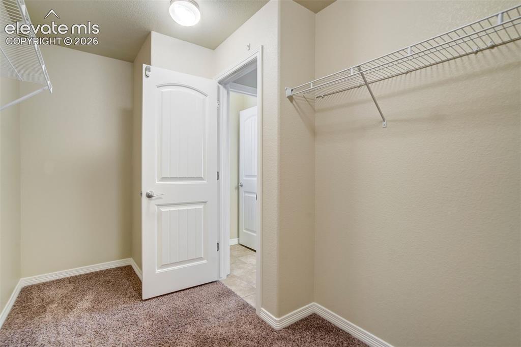 6581 Alliance Loop Colorado Springs CO 80925