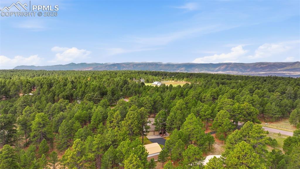 18475 Lake Drive Monument CO 80132