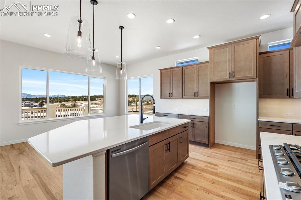 10491 Hawks Hill Court Colorado Springs CO 80908