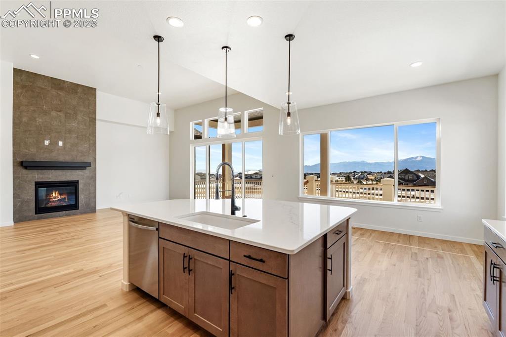 10491 Hawks Hill Court Colorado Springs CO 80908