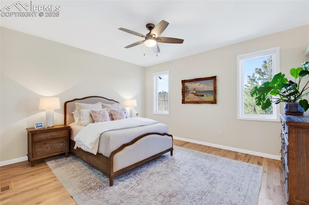 6265 Spurwood Drive Colorado Springs CO 80918