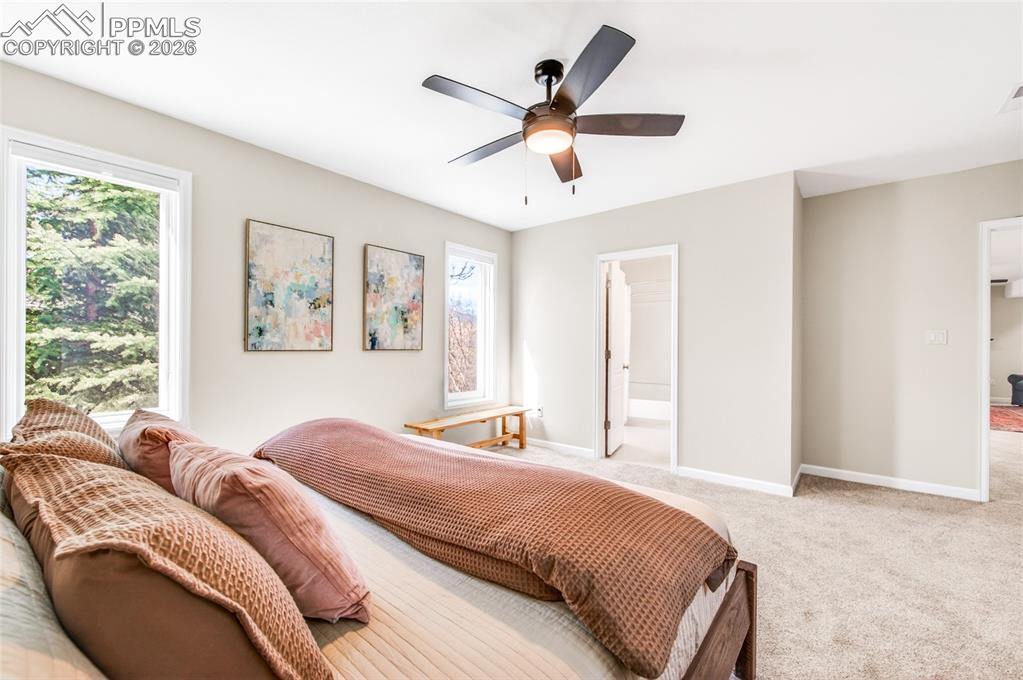 6265 Spurwood Drive Colorado Springs CO 80918