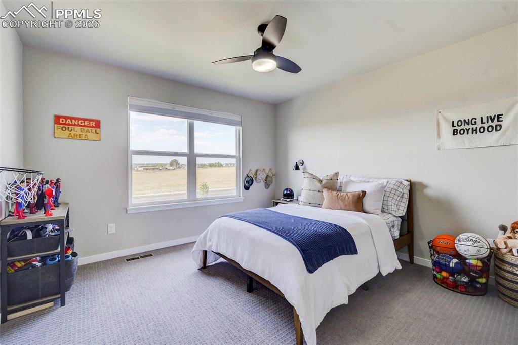 8182 Wheatland Drive Colorado Springs CO 80908