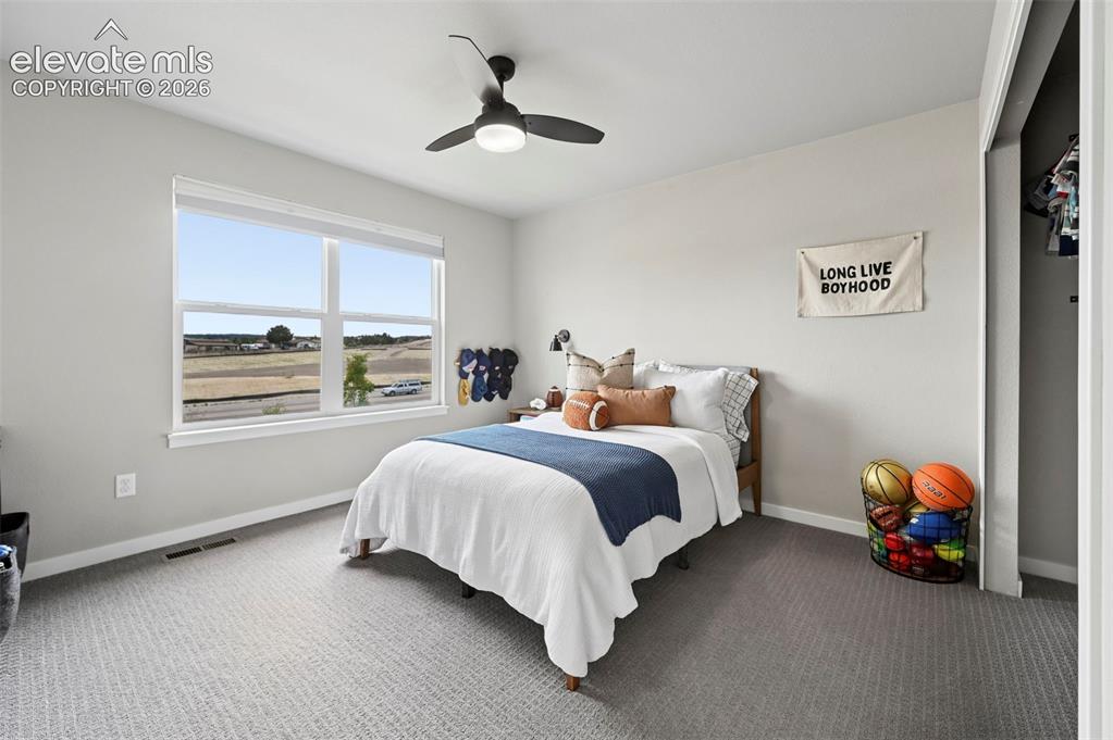 8182 Wheatland Drive Colorado Springs CO 80908