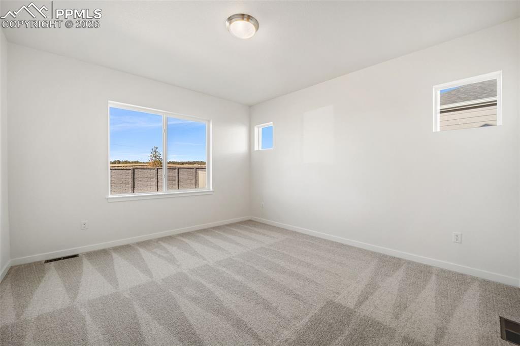 16295 Basset Mill Way Monument CO 80132