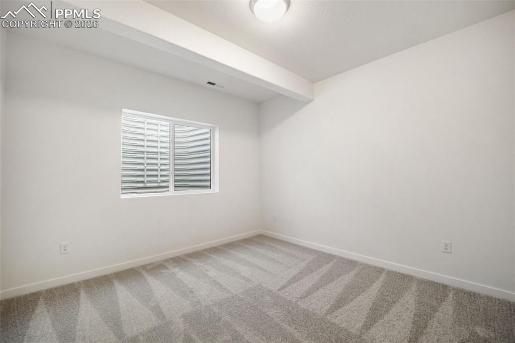16295 Basset Mill Way Monument CO 80132