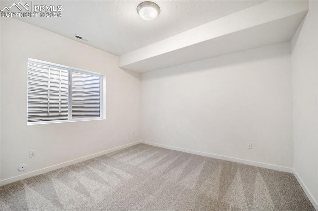 16295 Basset Mill Way Monument CO 80132