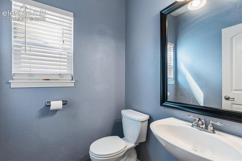 6713 Wild Indigo Drive Colorado Springs CO 80923