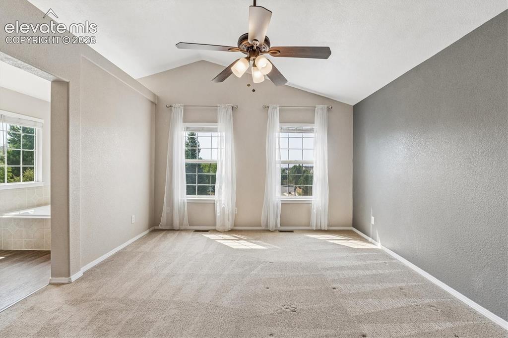 6713 Wild Indigo Drive Colorado Springs CO 80923
