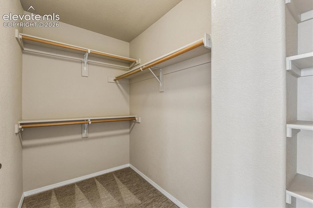 6713 Wild Indigo Drive Colorado Springs CO 80923