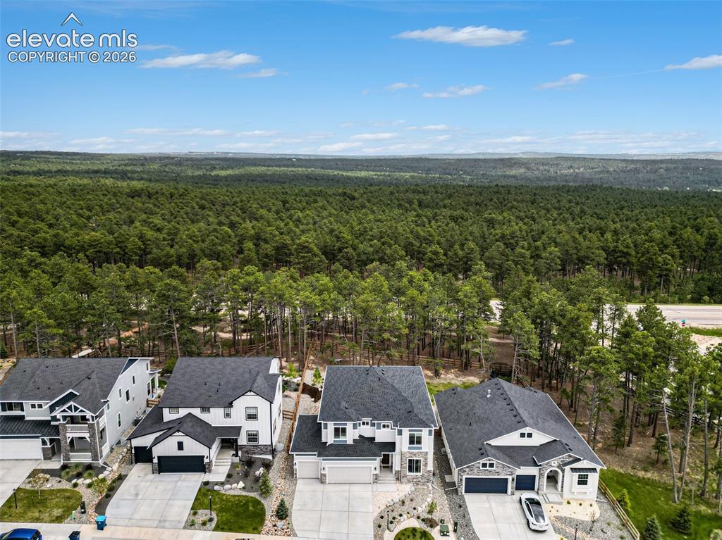 16325 Treetop Glory Court Monument CO 80132