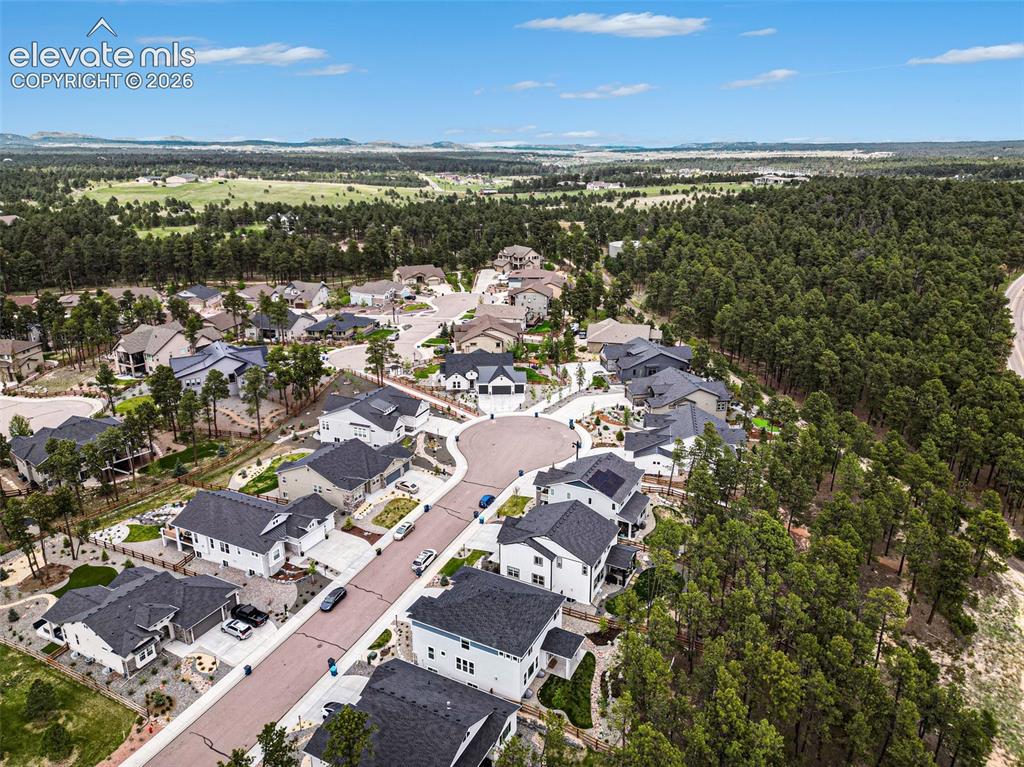 16325 Treetop Glory Court Monument CO 80132